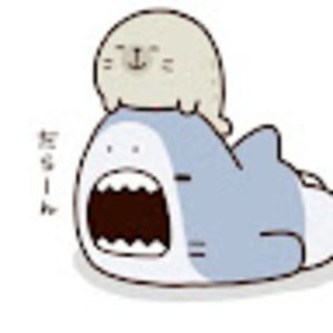 Meet your Posher, Bailey